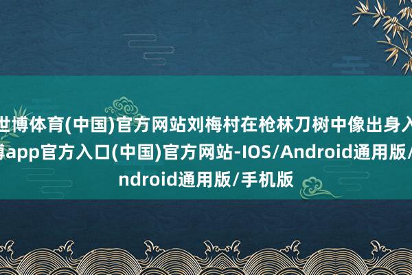 世博体育(中国)官方网站刘梅村在枪林刀树中像出身入死-世博app官方入口(中国)官方网站-IOS/Android通用版/手机版