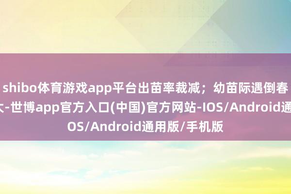 shibo体育游戏app平台出苗率裁减；幼苗际遇倒春寒的几率增大-世博app官方入口(中国)官方网站-IOS/Android通用版/手机版