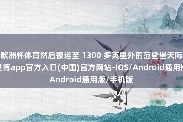欧洲杯体育然后被运至 1300 多英里外的范登堡天际军基地-世博app官方入口(中国)官方网站-IOS/Android通用版/手机版
