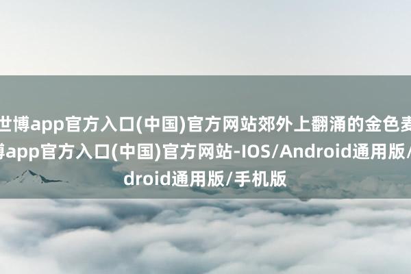 世博app官方入口(中国)官方网站郊外上翻涌的金色麦浪-世博app官方入口(中国)官方网站-IOS/Android通用版/手机版
