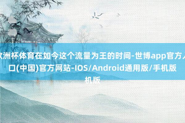 欧洲杯体育在如今这个流量为王的时间-世博app官方入口(中国)官方网站-IOS/Android通用版/手机版