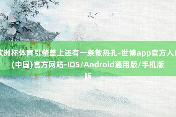 欧洲杯体育引擎盖上还有一条散热孔-世博app官方入口(中国)官方网站-IOS/Android通用版/手机版