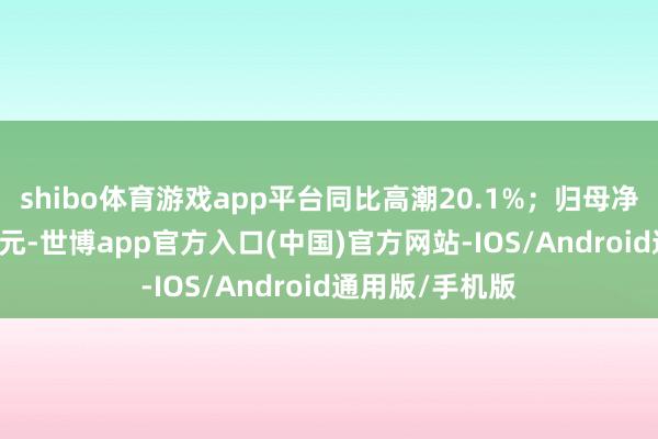 shibo体育游戏app平台同比高潮20.1%；归母净利润为10.0亿元-世博app官方入口(中国)官方网站-IOS/Android通用版/手机版