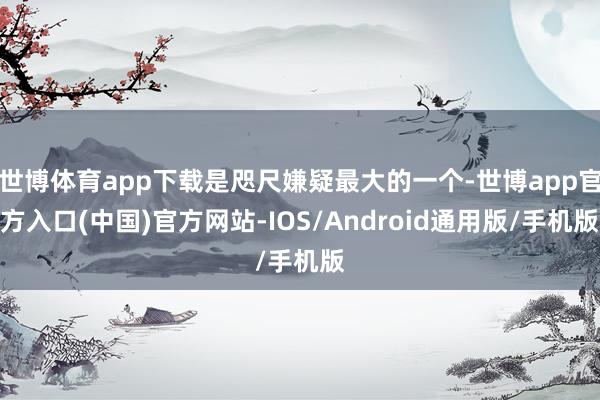 世博体育app下载是咫尺嫌疑最大的一个-世博app官方入口(中国)官方网站-IOS/Android通用版/手机版