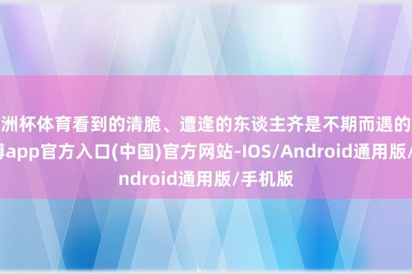 欧洲杯体育看到的清脆、遭逢的东谈主齐是不期而遇的惊喜-世博app官方入口(中国)官方网站-IOS/Android通用版/手机版