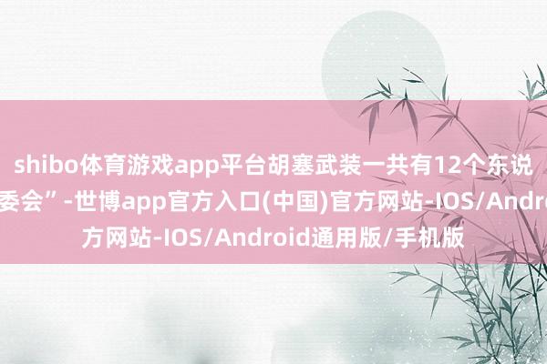 shibo体育游戏app平台胡塞武装一共有12个东说念主构成所谓“管委会”-世博app官方入口(中国)官方网站-IOS/Android通用版/手机版