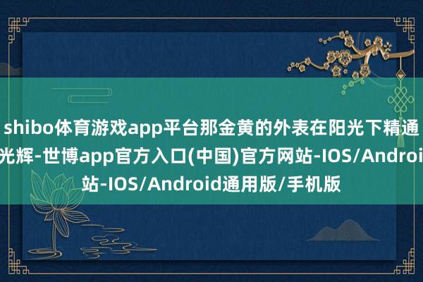 shibo体育游戏app平台那金黄的外表在阳光下精通着诱东说念主的光辉-世博app官方入口(中国)官方网站-IOS/Android通用版/手机版