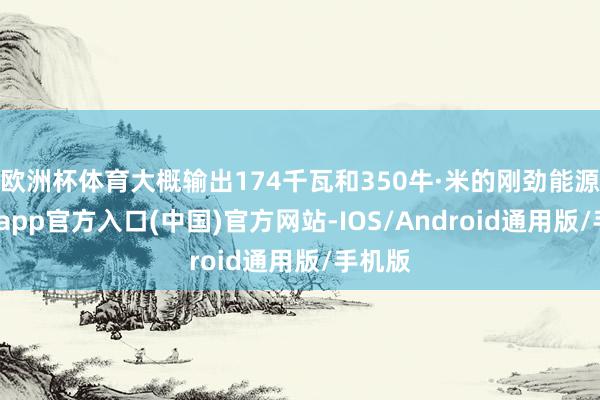 欧洲杯体育大概输出174千瓦和350牛·米的刚劲能源-世博app官方入口(中国)官方网站-IOS/Android通用版/手机版