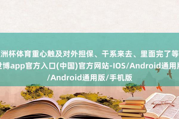 欧洲杯体育重心触及对外担保、干系来去、里面完了等重要范畴-世博app官方入口(中国)官方网站-IOS/Android通用版/手机版