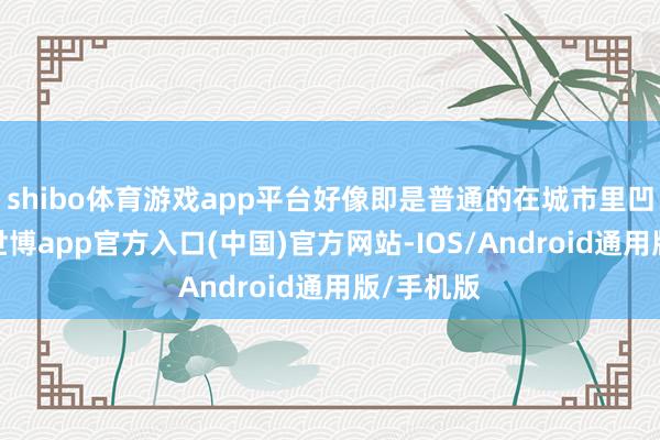 shibo体育游戏app平台好像即是普通的在城市里凹凸班开-世博app官方入口(中国)官方网站-IOS/Android通用版/手机版