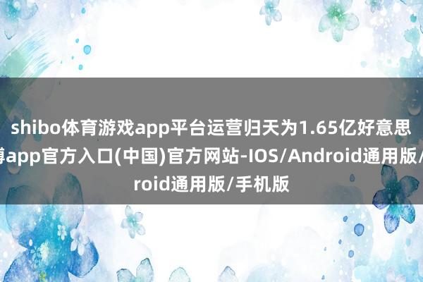 shibo体育游戏app平台运营归天为1.65亿好意思元-世博app官方入口(中国)官方网站-IOS/Android通用版/手机版