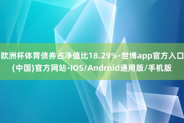 欧洲杯体育债券占净值比18.29%-世博app官方入口(中国)官方网站-IOS/Android通用版/手机版