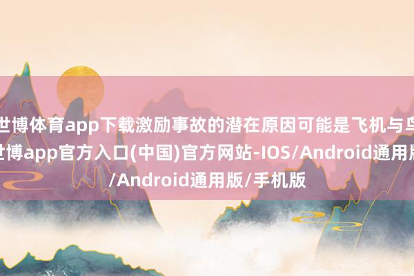 世博体育app下载激励事故的潜在原因可能是飞机与鸟群相撞-世博app官方入口(中国)官方网站-IOS/Android通用版/手机版