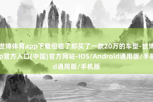 世博体育app下载但临了却买了一款20万的车型-世博app官方入口(中国)官方网站-IOS/Android通用版/手机版