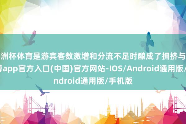 欧洲杯体育是游宾客数激增和分流不足时酿成了拥挤与哄抢-世博app官方入口(中国)官方网站-IOS/Android通用版/手机版