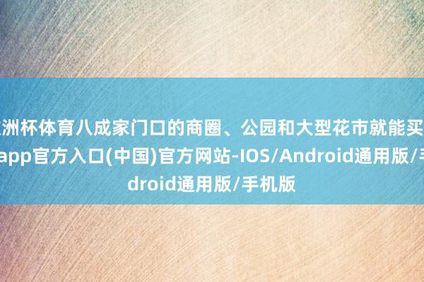 欧洲杯体育八成家门口的商圈、公园和大型花市就能买到-世博app官方入口(中国)官方网站-IOS/Android通用版/手机版