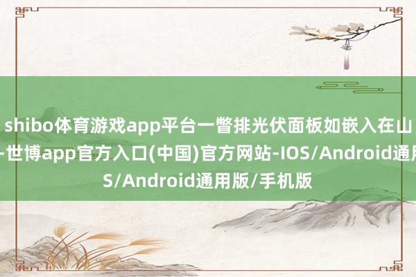 shibo体育游戏app平台一瞥排光伏面板如嵌入在山间的蓝相持-世博app官方入口(中国)官方网站-IOS/Android通用版/手机版