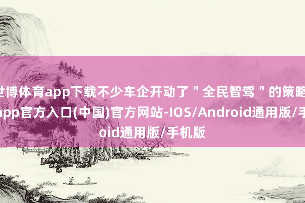 世博体育app下载不少车企开动了＂全民智驾＂的策略-世博app官方入口(中国)官方网站-IOS/Android通用版/手机版