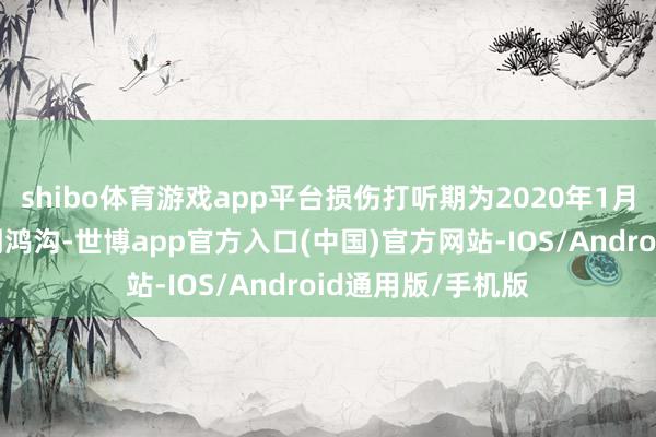 shibo体育游戏app平台损伤打听期为2020年1月1日至推销打听期鸿沟-世博app官方入口(中国)官方网站-IOS/Android通用版/手机版