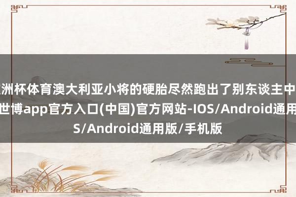 欧洲杯体育澳大利亚小将的硬胎尽然跑出了别东谈主中性胎的圈速-世博app官方入口(中国)官方网站-IOS/Android通用版/手机版
