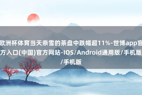 欧洲杯体育当天奈雪的茶盘中跌幅超11%-世博app官方入口(中国)官方网站-IOS/Android通用版/手机版