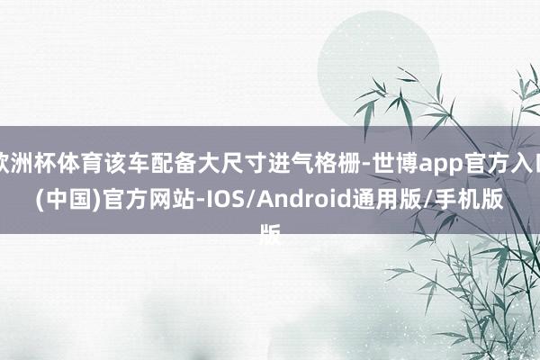 欧洲杯体育该车配备大尺寸进气格栅-世博app官方入口(中国)官方网站-IOS/Android通用版/手机版
