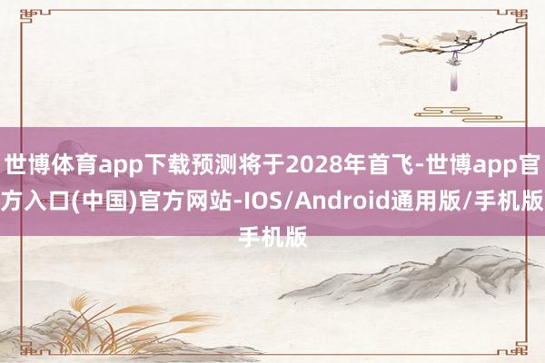世博体育app下载预测将于2028年首飞-世博app官方入口(中国)官方网站-IOS/Android通用版/手机版