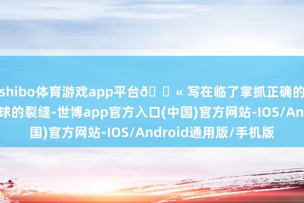 shibo体育游戏app平台💫 写在临了掌抓正确的击球法则是打好气排球的裂缝-世博app官方入口(中国)官方网站-IOS/Android通用版/手机版