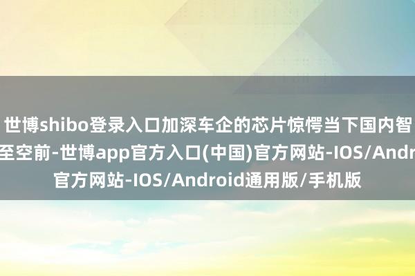世博shibo登录入口加深车企的芯片惊愕当下国内智能驾驶的热度被推至空前-世博app官方入口(中国)官方网站-IOS/Android通用版/手机版