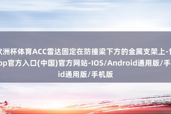 欧洲杯体育ACC雷达固定在防撞梁下方的金属支架上-世博app官方入口(中国)官方网站-IOS/Android通用版/手机版