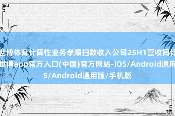 世博体育计算性业务孝顺扫数收入公司25H1营收同比基本抓平-世博app官方入口(中国)官方网站-IOS/Android通用版/手机版