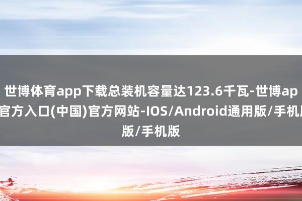 世博体育app下载总装机容量达123.6千瓦-世博app官方入口(中国)官方网站-IOS/Android通用版/手机版