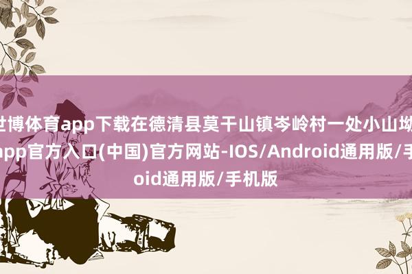 世博体育app下载在德清县莫干山镇岑岭村一处小山坳-世博app官方入口(中国)官方网站-IOS/Android通用版/手机版