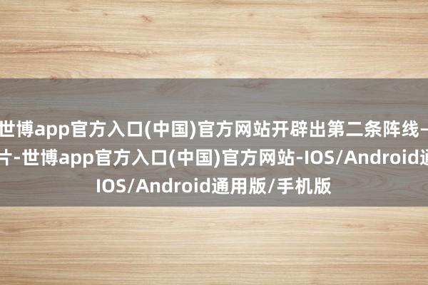 世博app官方入口(中国)官方网站开辟出第二条阵线——定制推理芯片-世博app官方入口(中国)官方网站-IOS/Android通用版/手机版