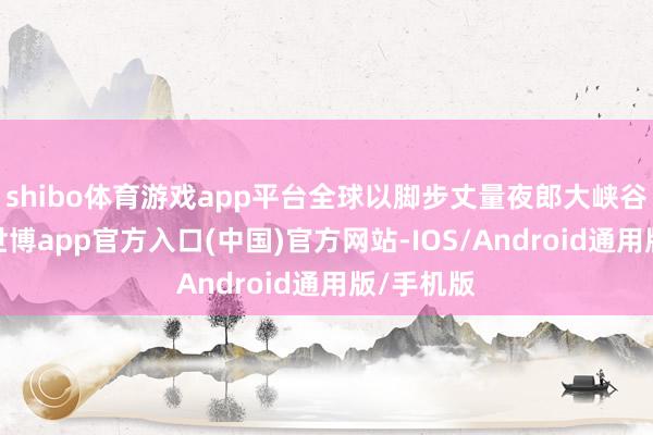 shibo体育游戏app平台全球以脚步丈量夜郎大峡谷奇不雅-世博app官方入口(中国)官方网站-IOS/Android通用版/手机版