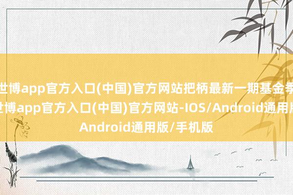 世博app官方入口(中国)官方网站把柄最新一期基金季报暴露-世博app官方入口(中国)官方网站-IOS/Android通用版/手机版