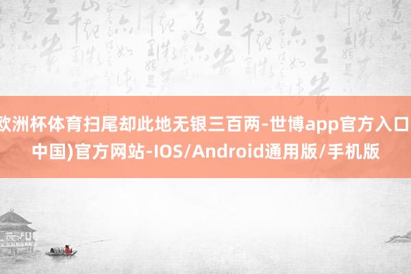 欧洲杯体育扫尾却此地无银三百两-世博app官方入口(中国)官方网站-IOS/Android通用版/手机版