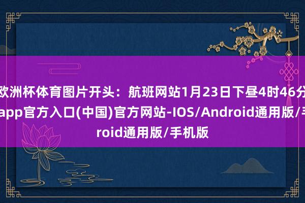 欧洲杯体育图片开头:航班网站1月23日下昼4时46分-世博app官方入口(中国)官方网站-IOS/Android通用版/手机版