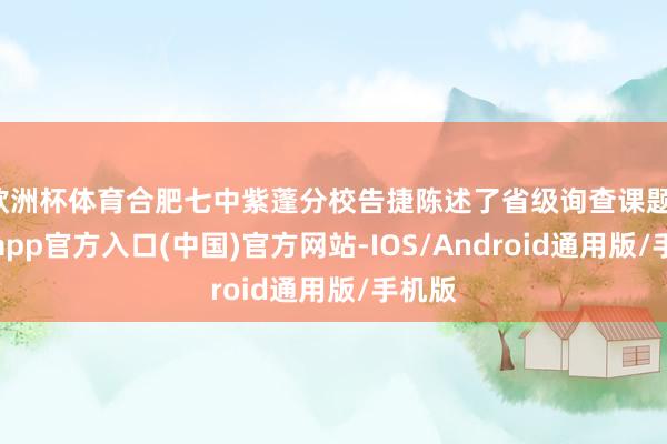 欧洲杯体育合肥七中紫蓬分校告捷陈述了省级询查课题-世博app官方入口(中国)官方网站-IOS/Android通用版/手机版