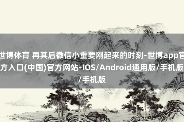 世博体育 再其后微信小重要刚起来的时刻-世博app官方入口(中国)官方网站-IOS/Android通用版/手机版