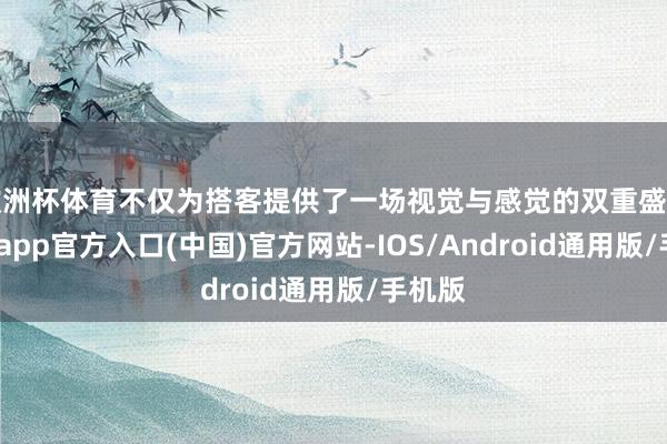 欧洲杯体育不仅为搭客提供了一场视觉与感觉的双重盛宴-世博app官方入口(中国)官方网站-IOS/Android通用版/手机版