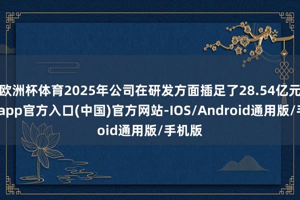 欧洲杯体育2025年公司在研发方面插足了28.54亿元-世博app官方入口(中国)官方网站-IOS/Android通用版/手机版