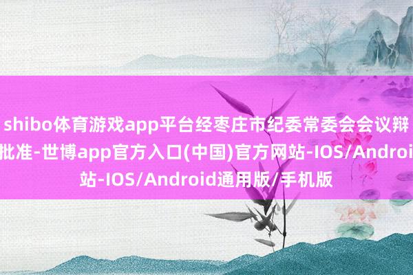 shibo体育游戏app平台经枣庄市纪委常委会会议辩论并报枣庄市委批准-世博app官方入口(中国)官方网站-IOS/Android通用版/手机版